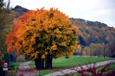  II Edycja Kursu Tajemnice Rezonansu Magnetycznego 24-25.10.2015